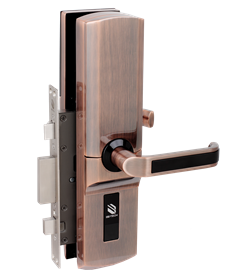 ���_�����ii2A8FK-AN2 