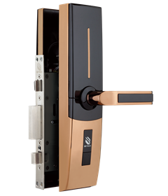 ���_�����ii1A8FK-AN2