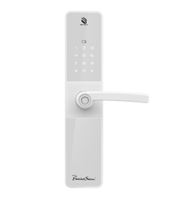 ���_�����ii567FMTW-AN2