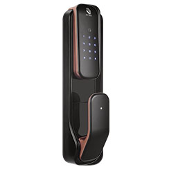 ���_�����iT2