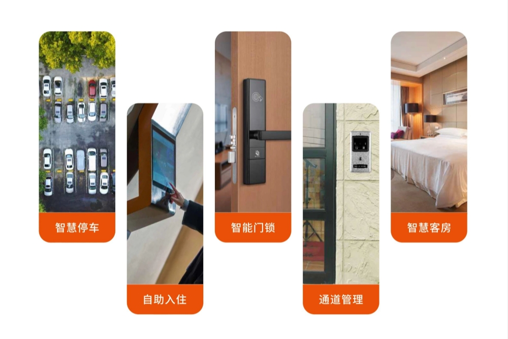 1755006351642120.jpg 圖片四_副本.jpg